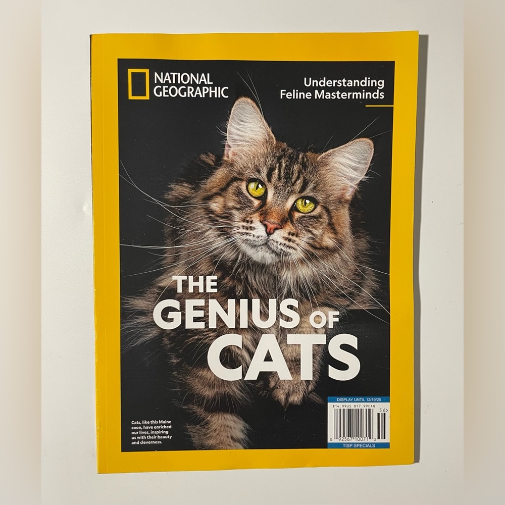 National Geographic The Genius of Cats in Yellow and Gray